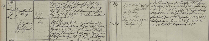 Trauungsbuch 02/08 (1859-1887) Haag, Seite 109, Bild C_1129