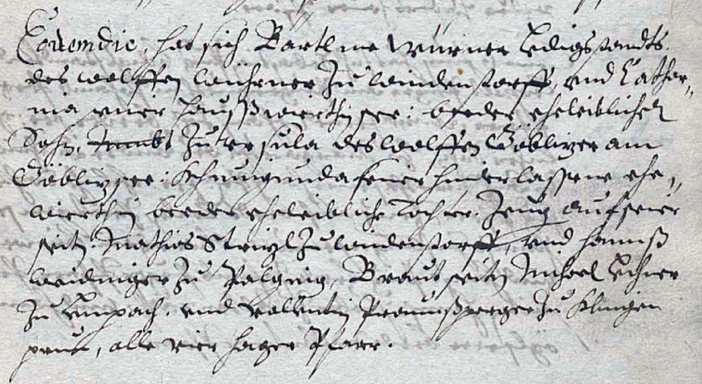Trauungsbuch 01,02,03/01 (1630-1647) Haag, Seite 13, Bild C_1904